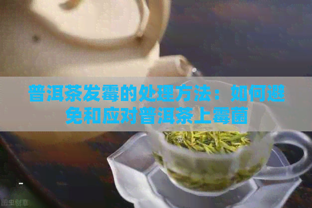 普洱茶发霉的处理方法：如何避免和应对普洱茶上霉菌