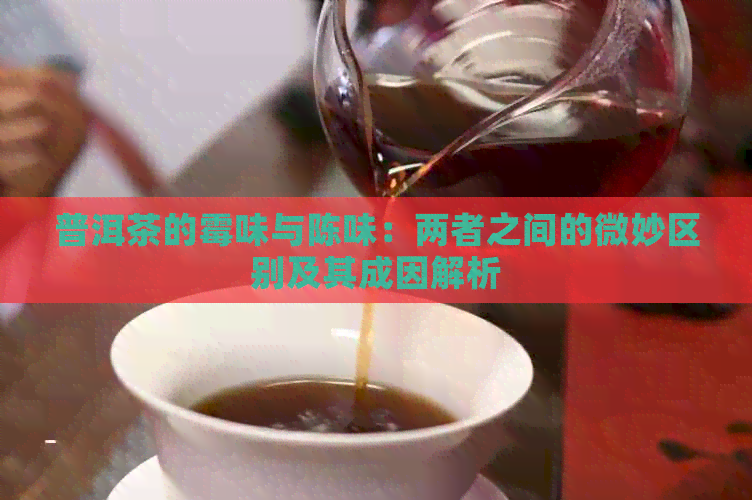 普洱茶的霉味与陈味：两者之间的微妙区别及其成因解析