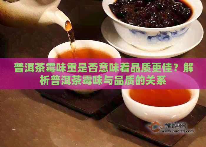 普洱茶霉味重是否意味着品质更佳？解析普洱茶霉味与品质的关系