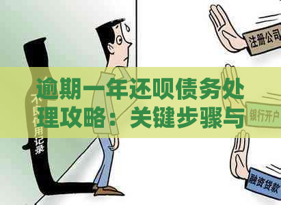 逾期一年还呗债务处理攻略：关键步骤与应对策略