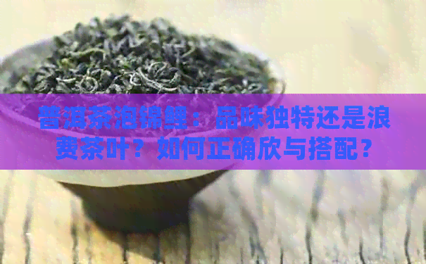 普洱茶泡锦鲤：品味独特还是浪费茶叶？如何正确欣与搭配？