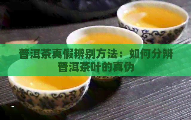 普洱茶真假辨别方法：如何分辨普洱茶叶的真伪