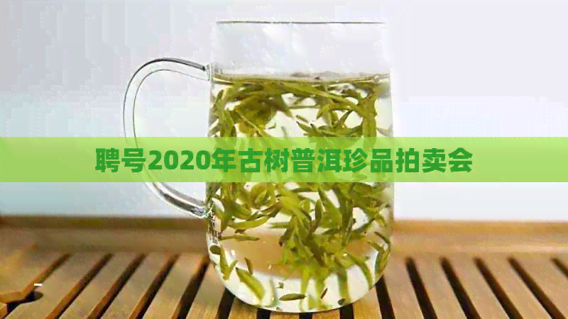 聘号2020年古树普洱珍品拍卖会