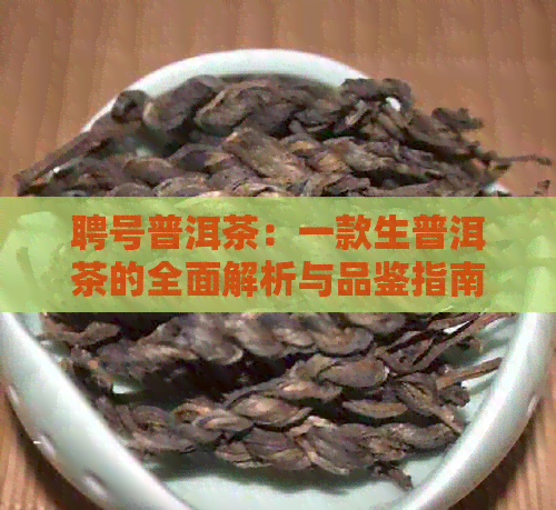 聘号普洱茶：一款生普洱茶的全面解析与品鉴指南