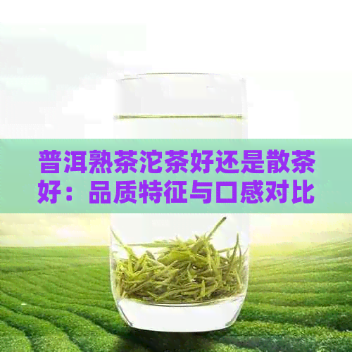 普洱熟茶沱茶好还是散茶好：品质特征与口感对比，功效分析