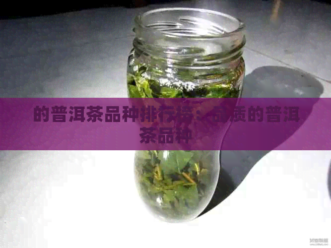 的普洱茶品种排行榜：品质的普洱茶品种