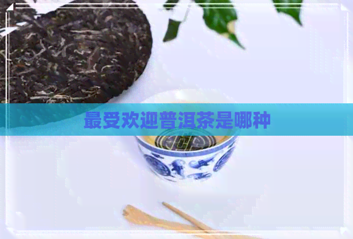 更受欢迎普洱茶是哪种