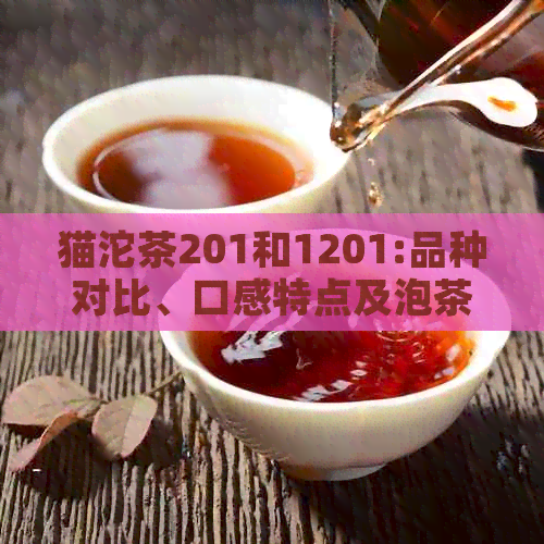 猫沱茶201和1201:品种对比、口感特点及泡茶方法详解，让品茶更轻松