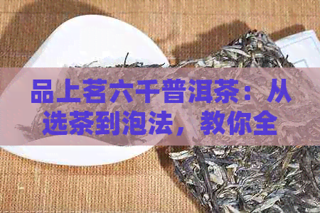 品上茗六千普洱茶：从选茶到泡法，教你全面掌握普洱茶的品鉴与饮用技巧