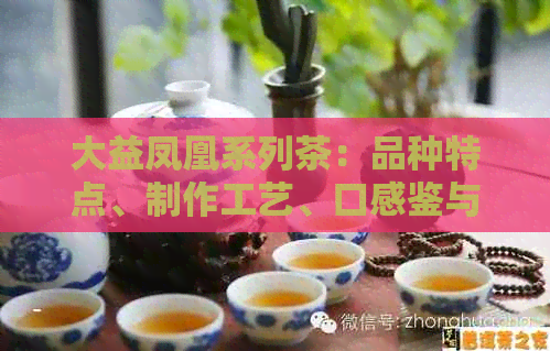 大益凤凰系列茶：品种特点、制作工艺、口感鉴与品饮技巧全解析