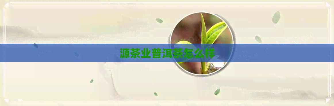 源茶业普洱茶怎么样