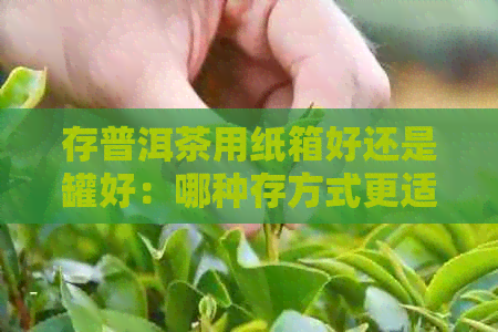 存普洱茶用纸箱好还是罐好：哪种存方式更适合普洱茶？