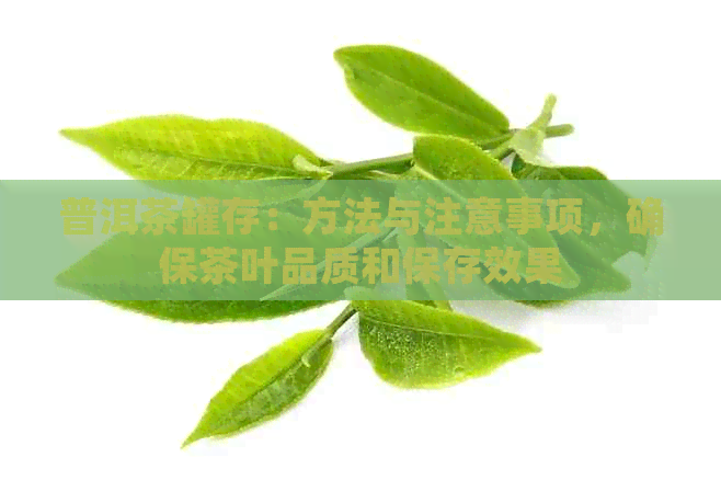 普洱茶罐存：方法与注意事项，确保茶叶品质和保存效果