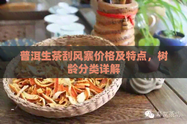 普洱生茶刮风寨价格及特点，树龄分类详解