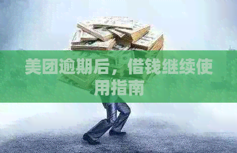 美团逾期后，借钱继续使用指南