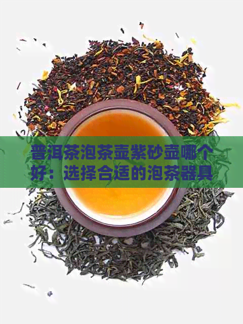 普洱茶泡茶壶紫砂壶哪个好：选择合适的泡茶器具，让你品尝更好的普洱茶。