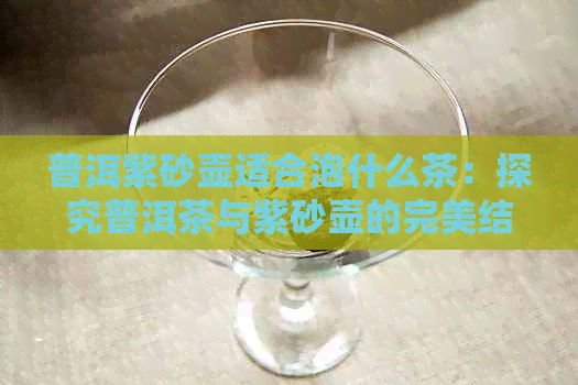 普洱紫砂壶适合泡什么茶：探究普洱茶与紫砂壶的完美结合