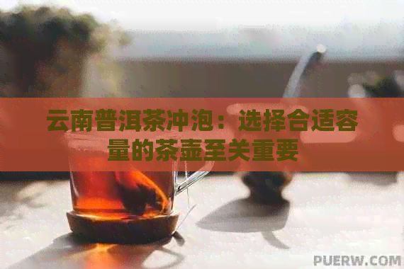 云南普洱茶冲泡：选择合适容量的茶壶至关重要