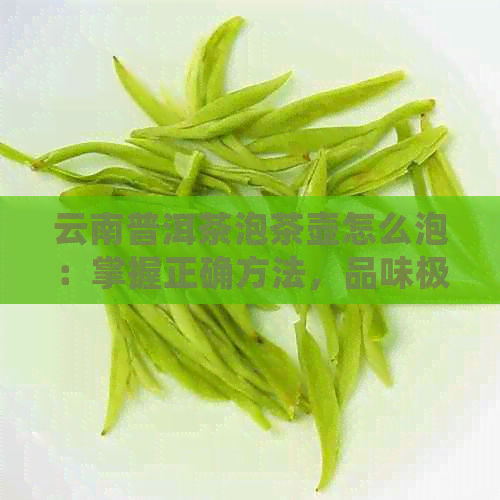 云南普洱茶泡茶壶怎么泡：掌握正确方法，品味极致醇香