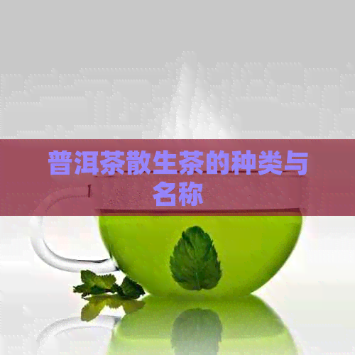 普洱茶散生茶的种类与名称