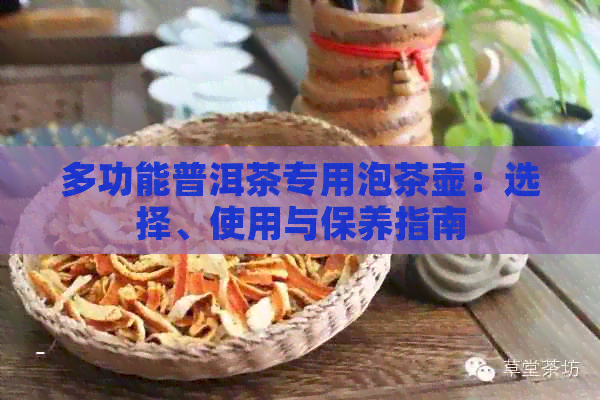 多功能普洱茶专用泡茶壶：选择、使用与保养指南