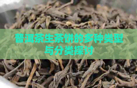 普洱茶生茶饼的多种类型与分类探讨