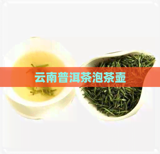 云南普洱茶泡茶壶