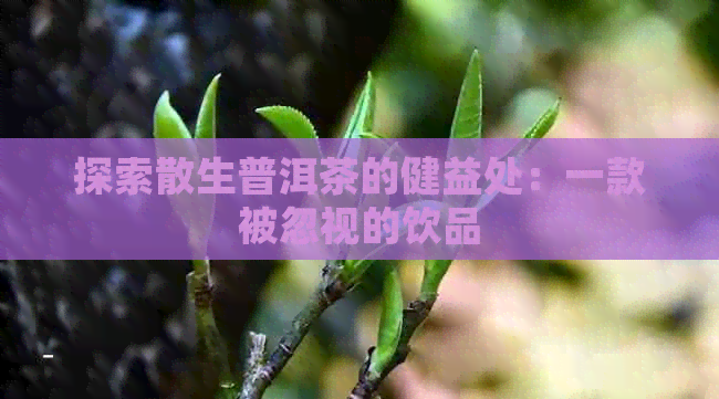 探索散生普洱茶的健益处：一款被忽视的饮品