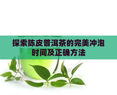 探索陈皮普洱茶的完美冲泡时间及正确方法