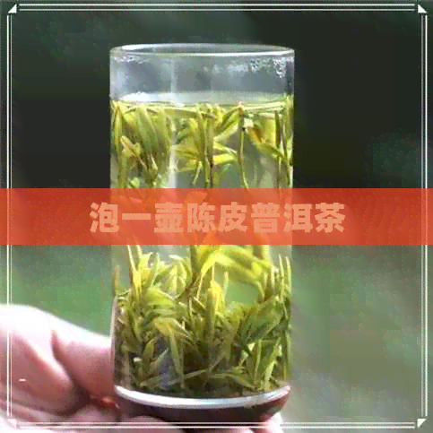 泡一壶陈皮普洱茶