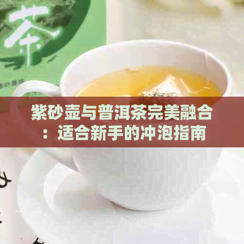 紫砂壶与普洱茶完美融合：适合新手的冲泡指南