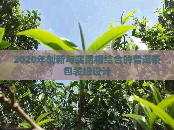 2020年创新与实用相结合的普洱茶包装纸设计