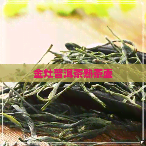 金灶普洱茶熟茶壶