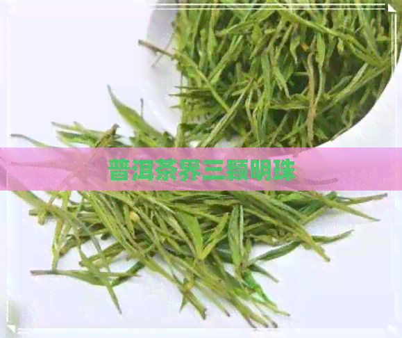 普洱茶界三颗明珠