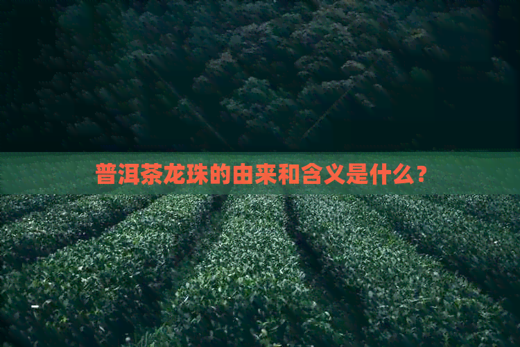 普洱茶龙珠的由来和含义是什么？