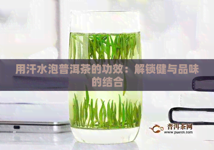 用汗水泡普洱茶的功效：解锁健与品味的结合