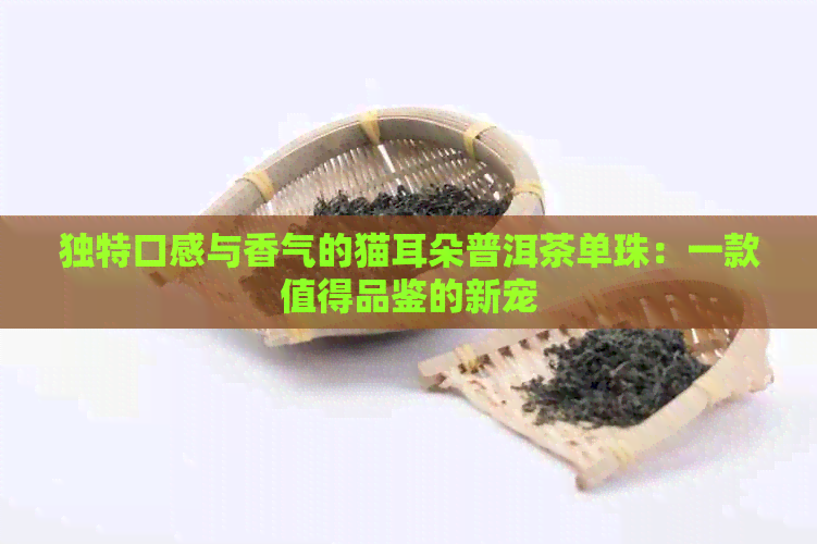 独特口感与香气的猫耳朵普洱茶单珠：一款值得品鉴的新宠