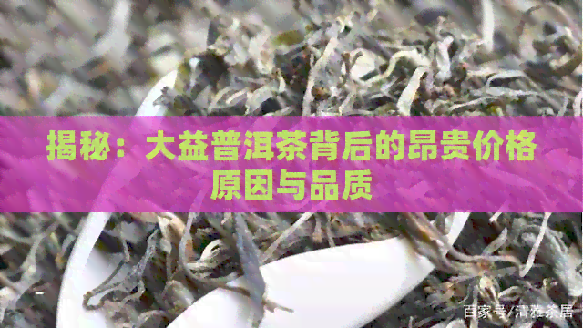 揭秘：大益普洱茶背后的昂贵价格原因与品质