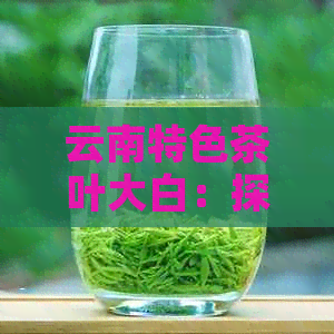 云南特色茶叶大白：探究普洱芽茶的魅力与功效