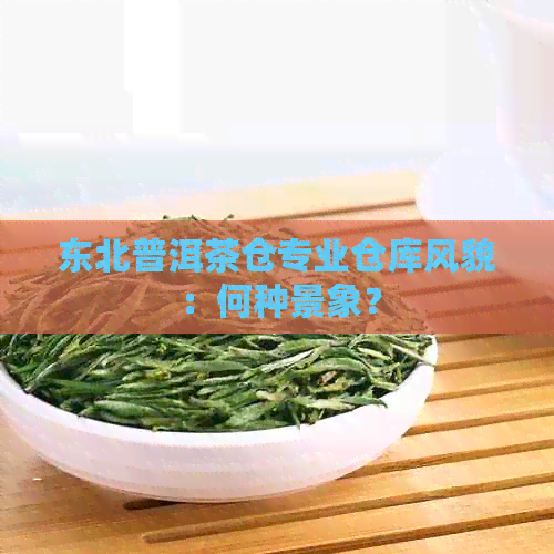 东北普洱茶仓专业仓库风貌：何种景象？