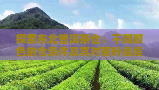 探索东北普洱茶仓：不同颜色的仓条件及其对茶叶品质的影响