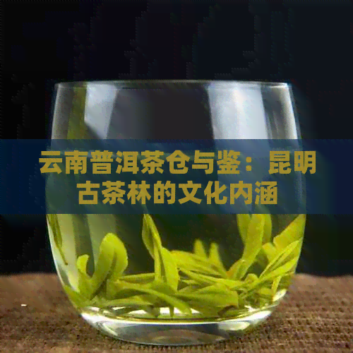 云南普洱茶仓与鉴：昆明古茶林的文化内涵