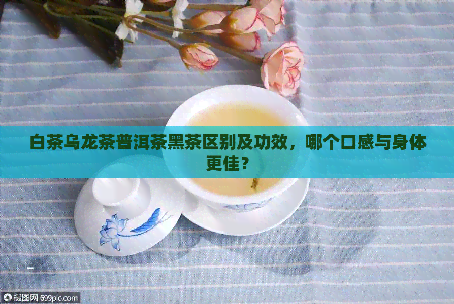 白茶乌龙茶普洱茶黑茶区别及功效，哪个口感与身体更佳？