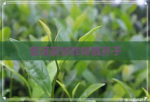 普洱茶饼咋样撬开子