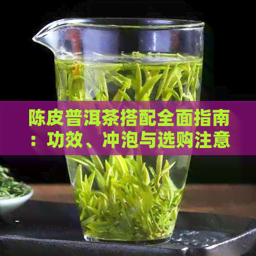 陈皮普洱茶搭配全面指南：功效、冲泡与选购注意事项，让你喝出效果！