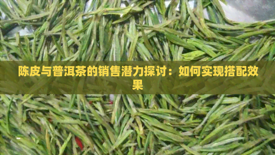 陈皮与普洱茶的销售潜力探讨：如何实现搭配效果