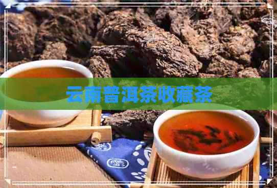 云南普洱茶收藏茶