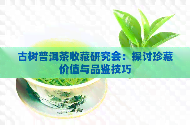 古树普洱茶收藏研究会：探讨珍藏价值与品鉴技巧