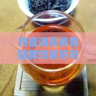 熟普洱茶养胃健脾效果好吗？女性是否适合饮用？