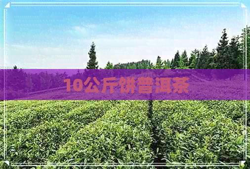 10公斤饼普洱茶